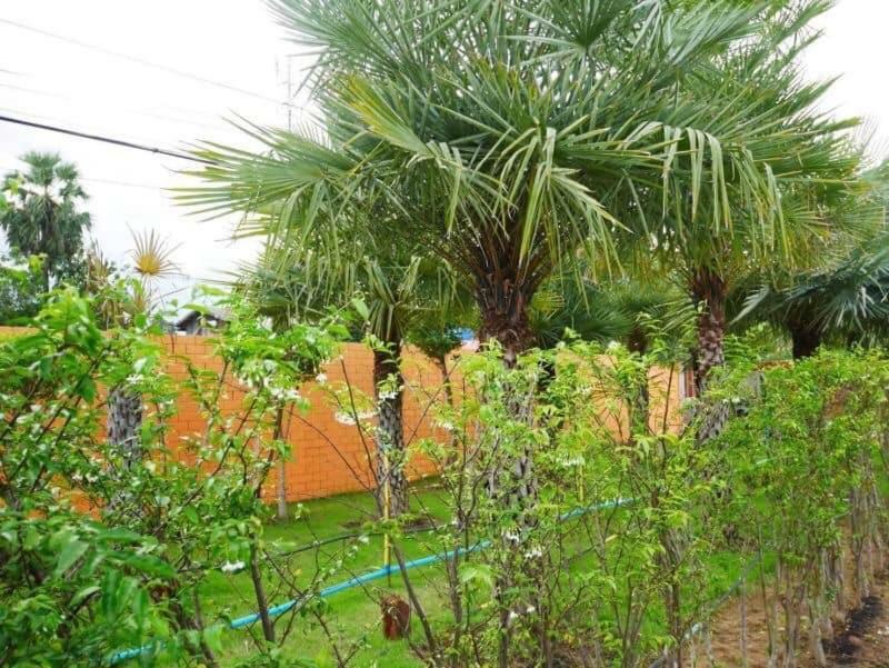 Tinna Resort Ban Nong Mai Ngam Exterior foto